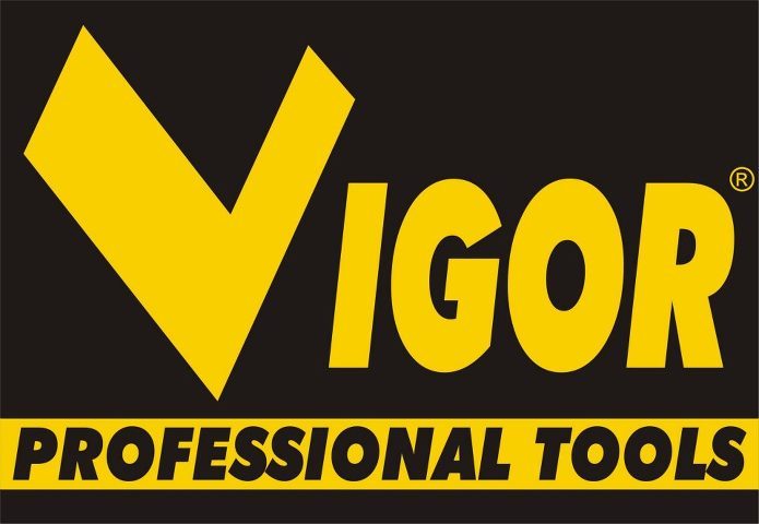 vigor_logo